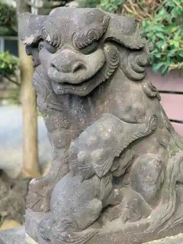 太田杉山神社・横濱水天宮の狛犬