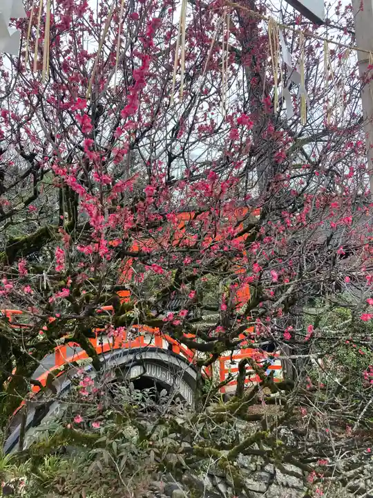 賀茂御祖神社(下鴨神社)(京都府)
