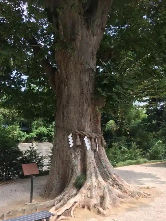 素鵞神社の自然