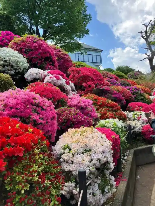根津神社(東京都)
