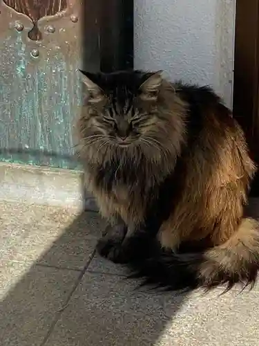 山梨縣護國神社(山梨県)