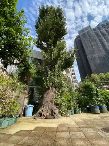高輪神社(東京都)