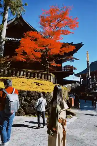 日光二荒山神社(栃木県)