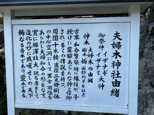 夫婦木神社(山梨県)