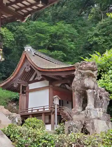 宇治上神社の狛犬