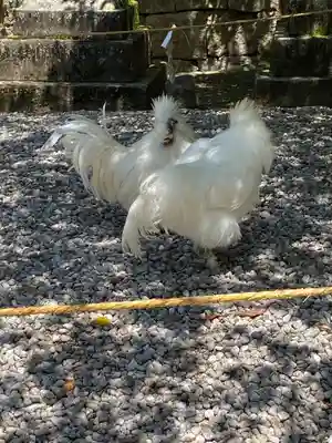 石上神宮(奈良県)