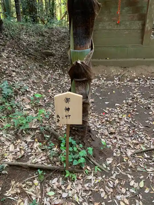 浅間神社(千葉県)
