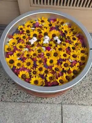 御井神社(岐阜県)