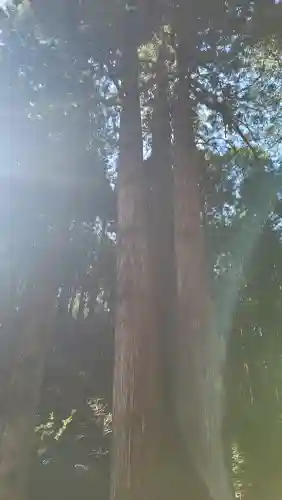 御岩神社の{uncategorized: "未分類", other: "その他", undefined: "問題あり", building: "その他建物", grave: "お墓", sacred_gate: "鳥居", guardian: "狛犬", statue: "像", buddha: "仏像", history: "歴史", nature: "自然", garden: "庭園", animal: "動物", pagoda: "塔", temizu: "手水舎", mountain_gate: "山門・神門", sanctuary: "本殿・本堂", subordinate: "末社・摂社", art: "芸術", scenery: "景色", jizo: "地蔵", ema: "絵馬", goshuin: "御朱印", omikuji: "おみくじ", items: "授与品その他", amulet: "お守り", goshuincho: "御朱印帳", eats: "食事", festival: "お祭り", votive_dance: "神楽", shichigosan: "七五三参", wedding: "結婚式", experience: "体験その他", initially: "初詣", around: "周辺", anti_infection: "感染症対策"}