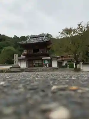 米山寺の{uncategorized: "未分類", other: "その他", undefined: "問題あり", building: "その他建物", grave: "お墓", sacred_gate: "鳥居", guardian: "狛犬", statue: "像", buddha: "仏像", history: "歴史", nature: "自然", garden: "庭園", animal: "動物", pagoda: "塔", temizu: "手水舎", mountain_gate: "山門・神門", sanctuary: "本殿・本堂", subordinate: "末社・摂社", art: "芸術", scenery: "景色", jizo: "地蔵", ema: "絵馬", goshuin: "御朱印", omikuji: "おみくじ", items: "授与品その他", amulet: "お守り", goshuincho: "御朱印帳", eats: "食事", festival: "お祭り", votive_dance: "神楽", shichigosan: "七五三参", wedding: "結婚式", experience: "体験その他", initially: "初詣", around: "周辺", anti_infection: "感染症対策"}