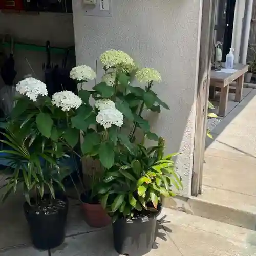 伊勢の国 四天王寺の自然