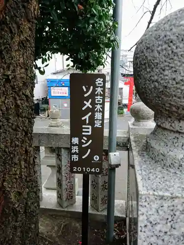 元町厳島神社のその他建物