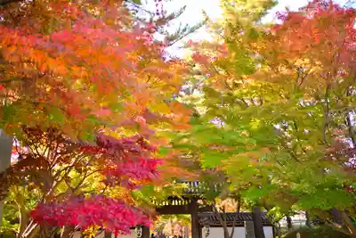 東漸寺(千葉県)