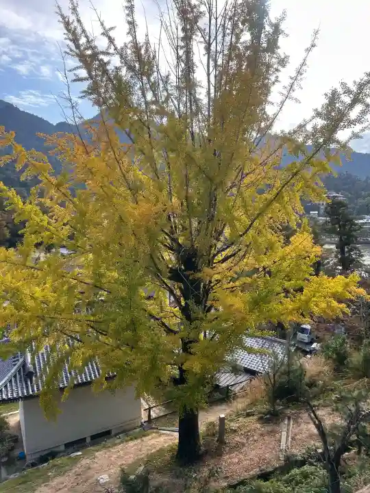 豊国神社 の{uncategorized: "未分類", other: "その他", undefined: "問題あり", building: "その他建物", grave: "お墓", sacred_gate: "鳥居", guardian: "狛犬", statue: "像", buddha: "仏像", history: "歴史", nature: "自然", garden: "庭園", animal: "動物", pagoda: "塔", temizu: "手水舎", mountain_gate: "山門・神門", sanctuary: "本殿・本堂", subordinate: "末社・摂社", art: "芸術", scenery: "景色", jizo: "地蔵", ema: "絵馬", goshuin: "御朱印", omikuji: "おみくじ", items: "授与品その他", amulet: "お守り", goshuincho: "御朱印帳", eats: "食事", festival: "お祭り", votive_dance: "神楽", shichigosan: "七五三参", wedding: "結婚式", experience: "体験その他", initially: "初詣", around: "周辺", anti_infection: "感染症対策"}