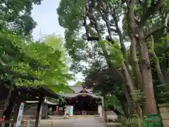 渋谷氷川神社の建物その他