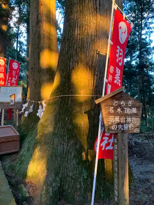 羽黒山神社のその他建物