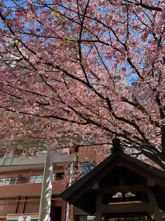蔵前神社の{uncategorized: "未分類", other: "その他", undefined: "問題あり", building: "その他建物", grave: "お墓", sacred_gate: "鳥居", guardian: "狛犬", statue: "像", buddha: "仏像", history: "歴史", nature: "自然", garden: "庭園", animal: "動物", pagoda: "塔", temizu: "手水舎", mountain_gate: "山門・神門", sanctuary: "本殿・本堂", subordinate: "末社・摂社", art: "芸術", scenery: "景色", jizo: "地蔵", ema: "絵馬", goshuin: "御朱印", omikuji: "おみくじ", items: "授与品その他", amulet: "お守り", goshuincho: "御朱印帳", eats: "食事", festival: "お祭り", votive_dance: "神楽", shichigosan: "七五三参", wedding: "結婚式", experience: "体験その他", initially: "初詣", around: "周辺", anti_infection: "感染症対策"}