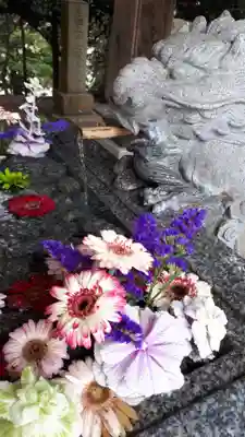 滑川神社 - 仕事と子どもの守り神の手水舎