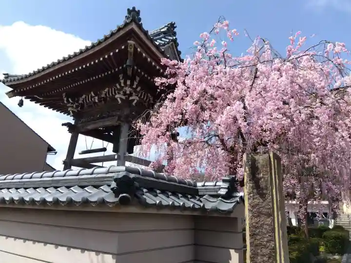 浄得寺(福井県)