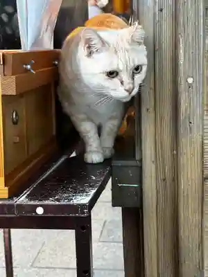 王子神社(徳島県)