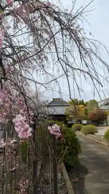 無量寿寺(埼玉県)