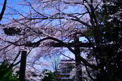 冨士御室浅間神社(山梨県)