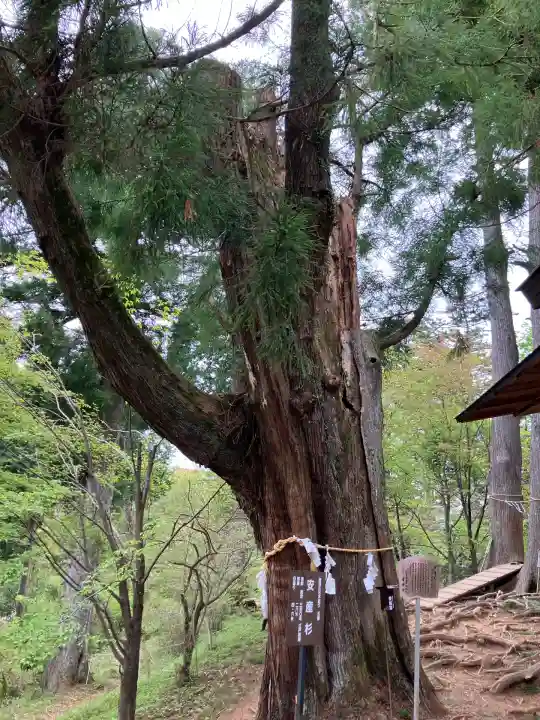 産安社(武蔵御嶽神社摂社)(東京都)