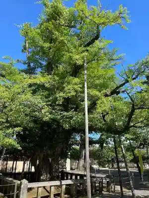 誕生寺(岡山県)