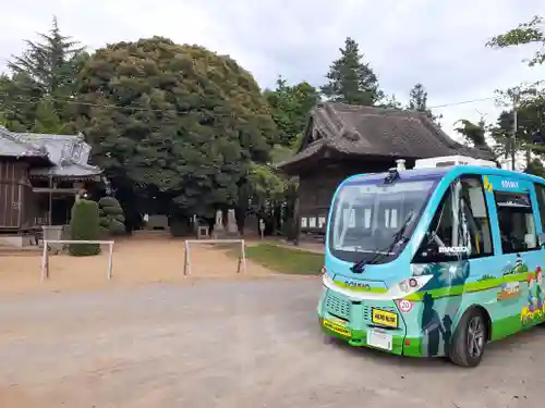 伏木香取神社の体験その他