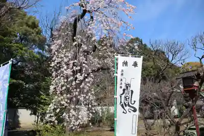 寛永寺開山堂(東京都)