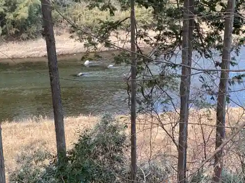 地蔵院(東京都)