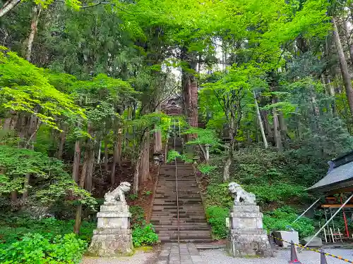 戸隠神社宝光社の狛犬