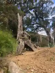 蛭児神社の自然