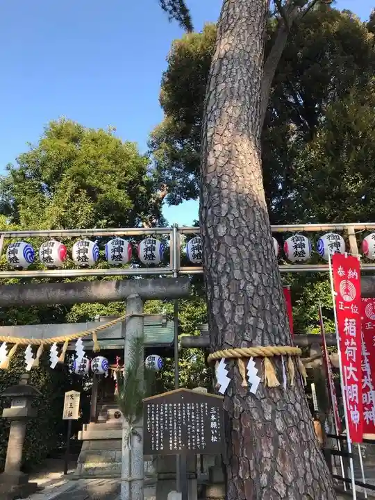 中野沼袋氷川神社の自然