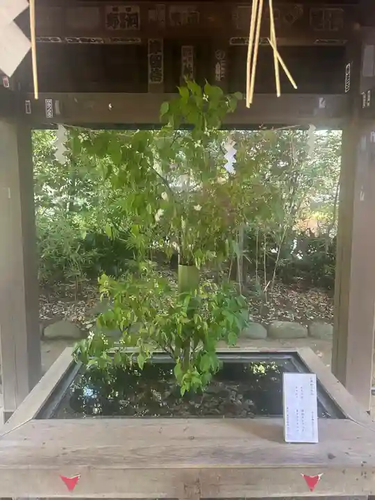 日枝神社(東京都)