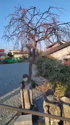 保泉寺(神奈川県)