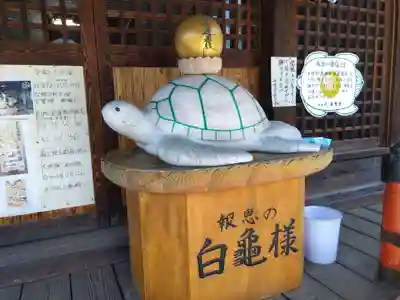 妙光寺(長野県)