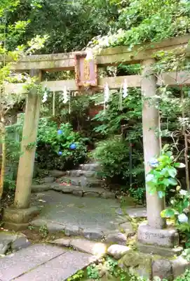 赤坂氷川神社(東京都)