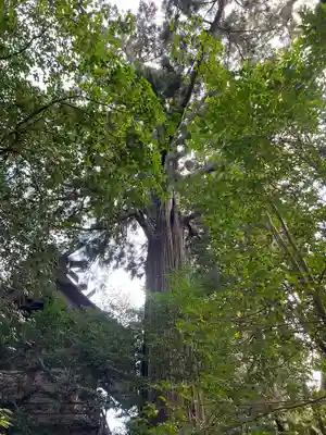 須佐神社(島根県)