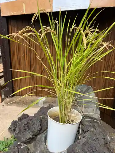 横浜御嶽神社(神奈川県)