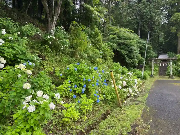 太平神社(栃木県)