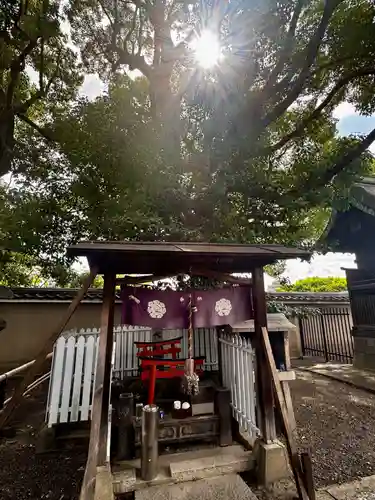 東寺（教王護国寺）(京都府)