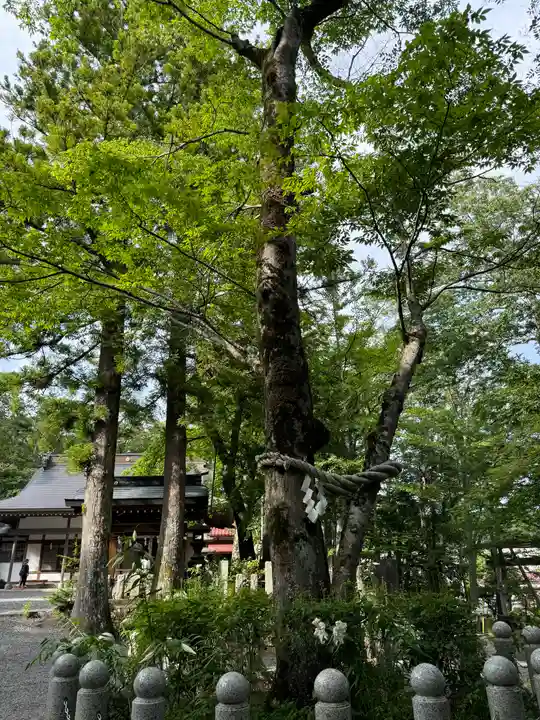 山中諏訪神社(山梨県)