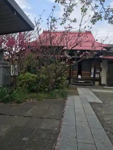 向福寺の本殿・本堂