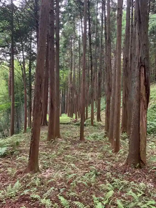 田間神社の周辺