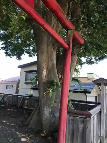 二子石稲荷神社の鳥居