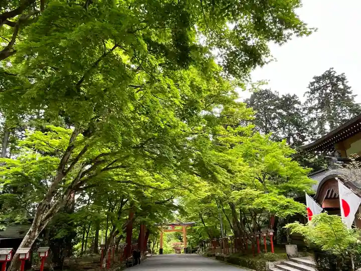 日吉大社(滋賀県)