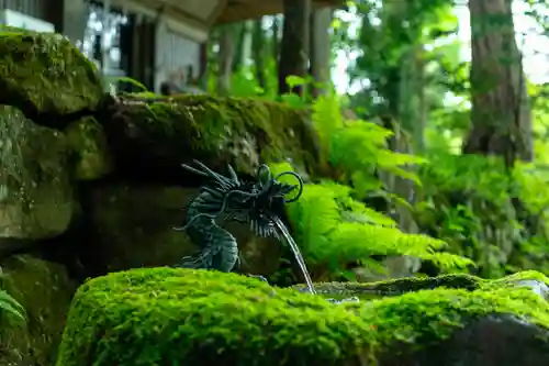 戸隠神社火之御子社(長野県)