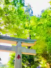 阿夫利神社の鳥居