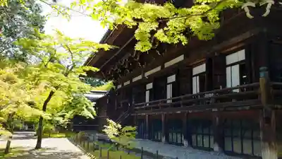 真正極楽寺(真如堂)の本殿・本堂